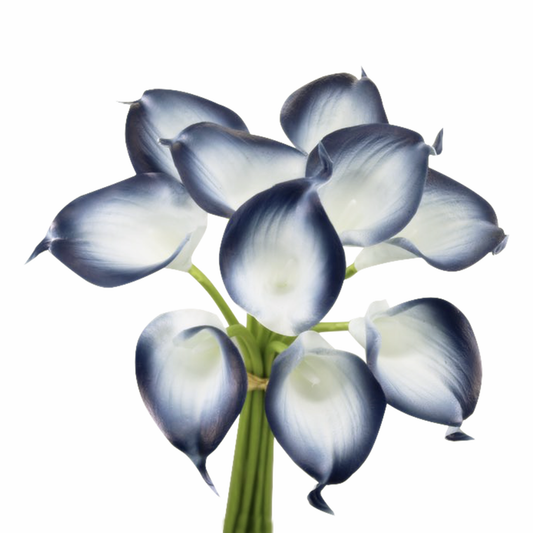 Pack of 10-Lifelike Real Touch Calla lily-Navy Collection: Navy Blue Trim