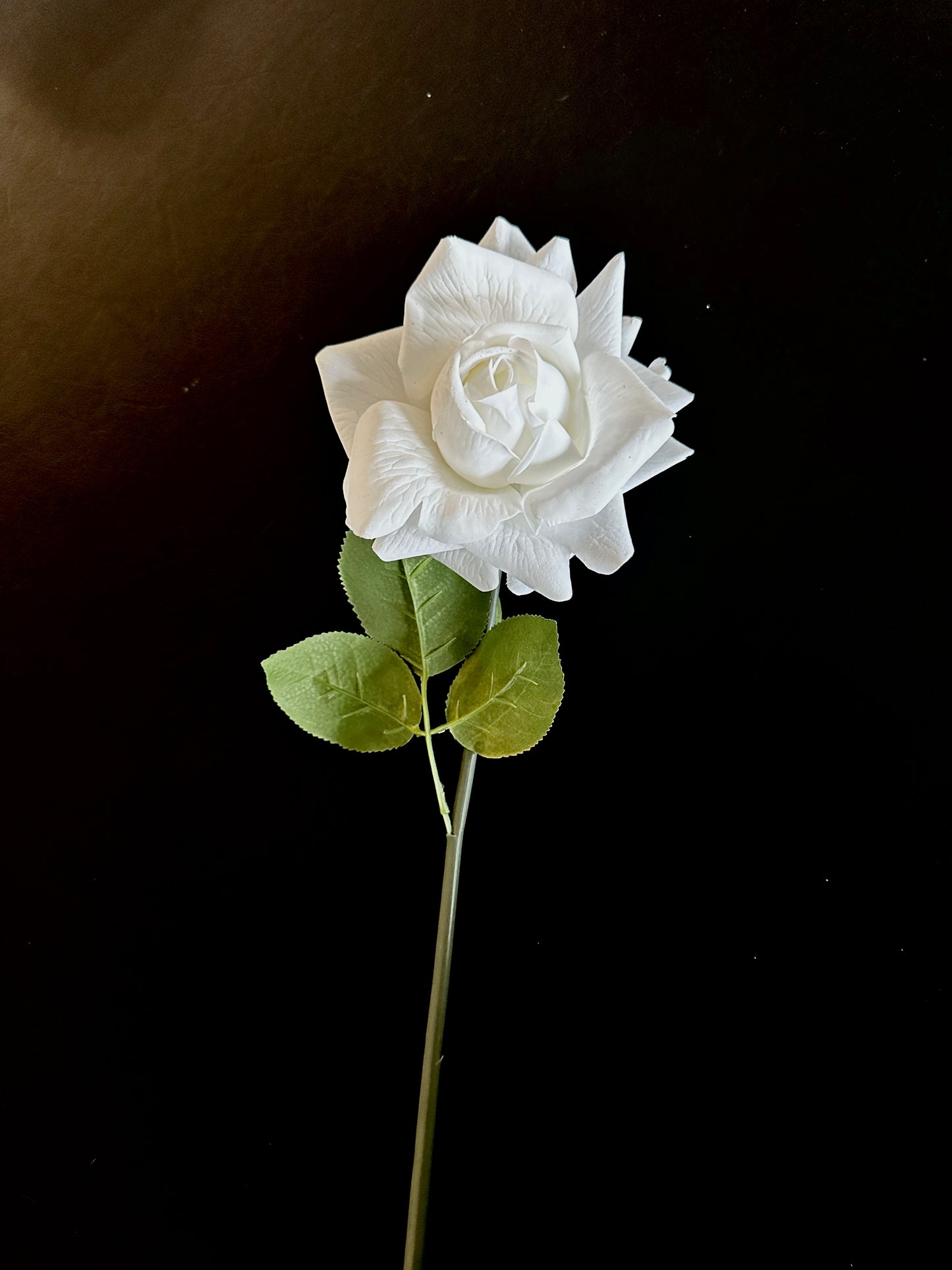 Single Rose - Large - Winter White