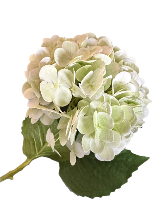 Light Green Real Touch Hydrangea