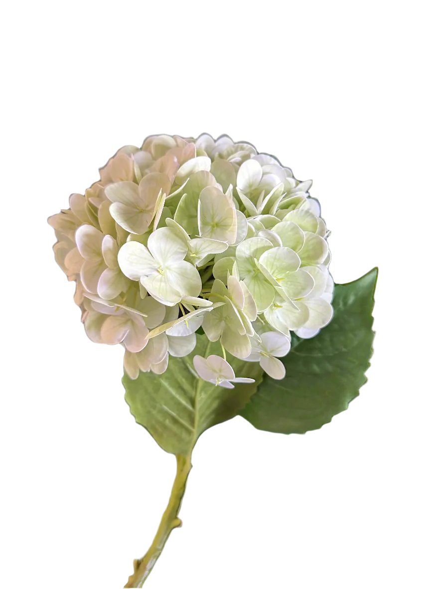 Light Green Real Touch Hydrangea