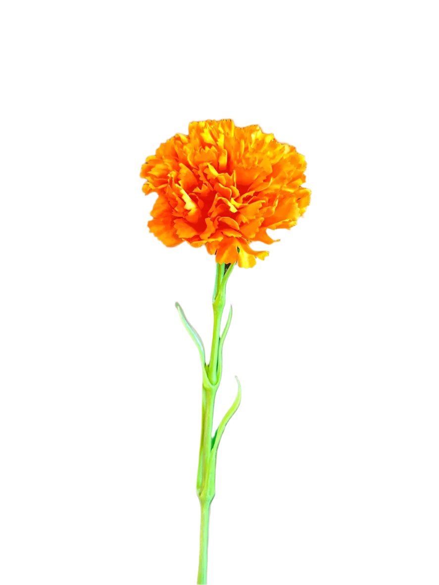 Orange Real Touch carnation