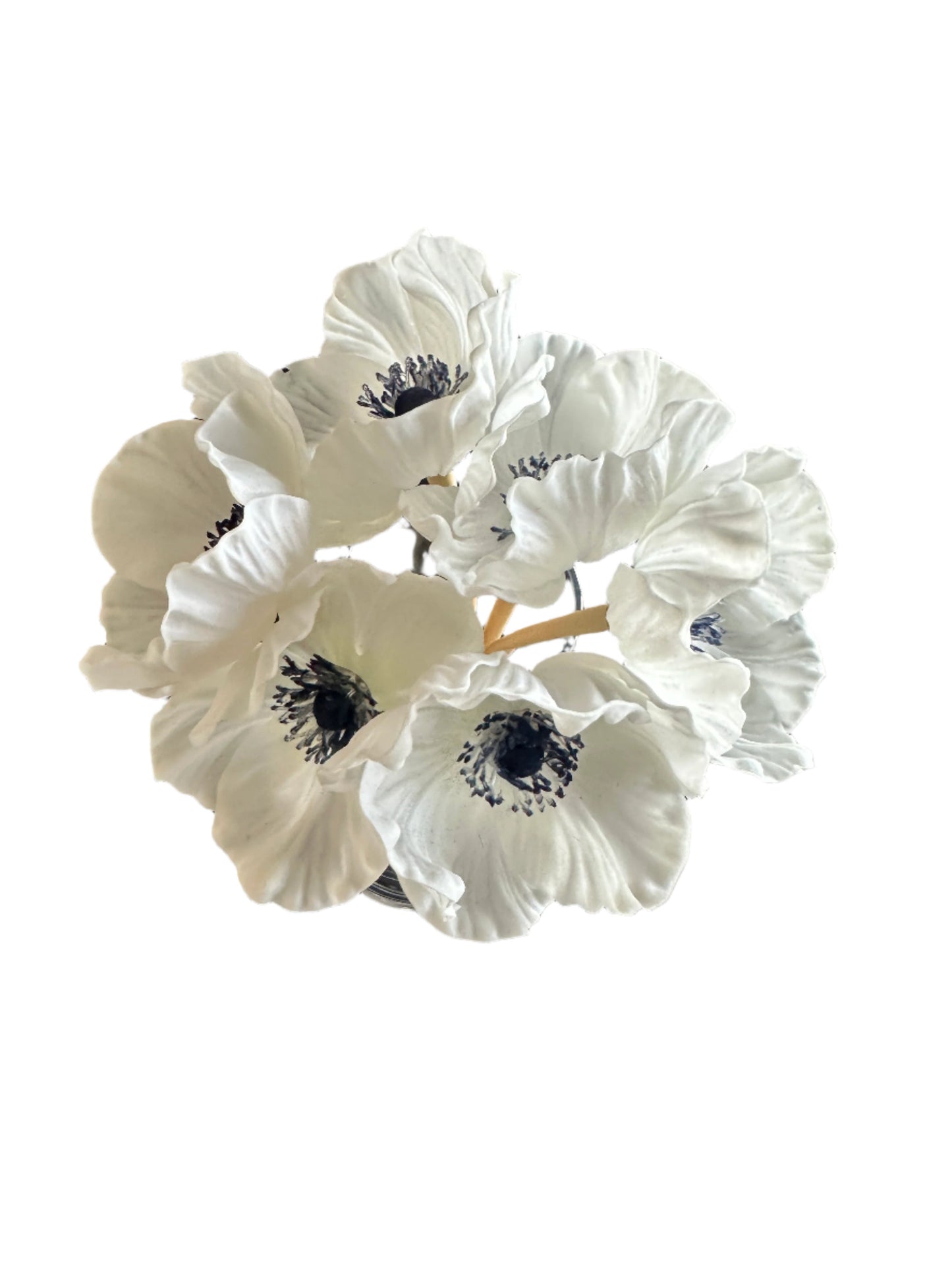 Real Touch White / Navy Poppy 