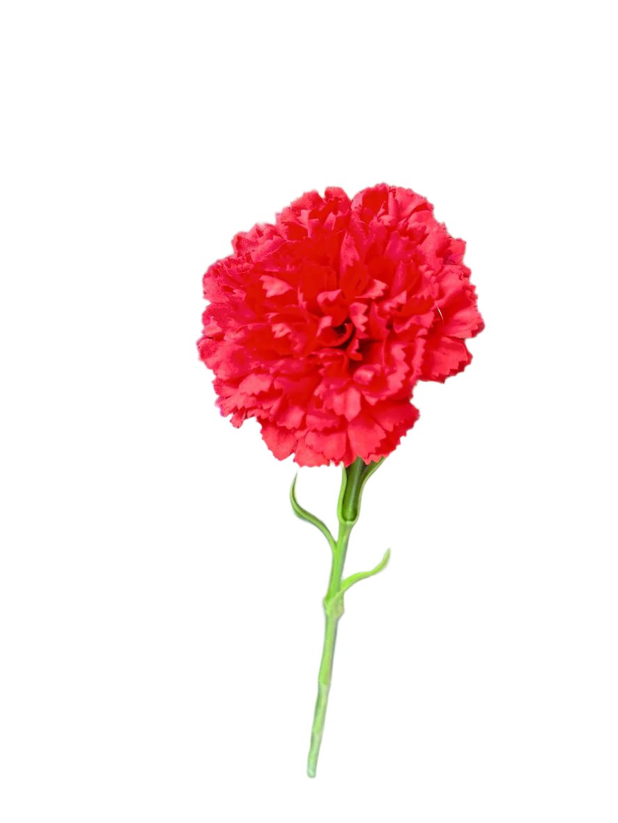 Red Real touch carnation