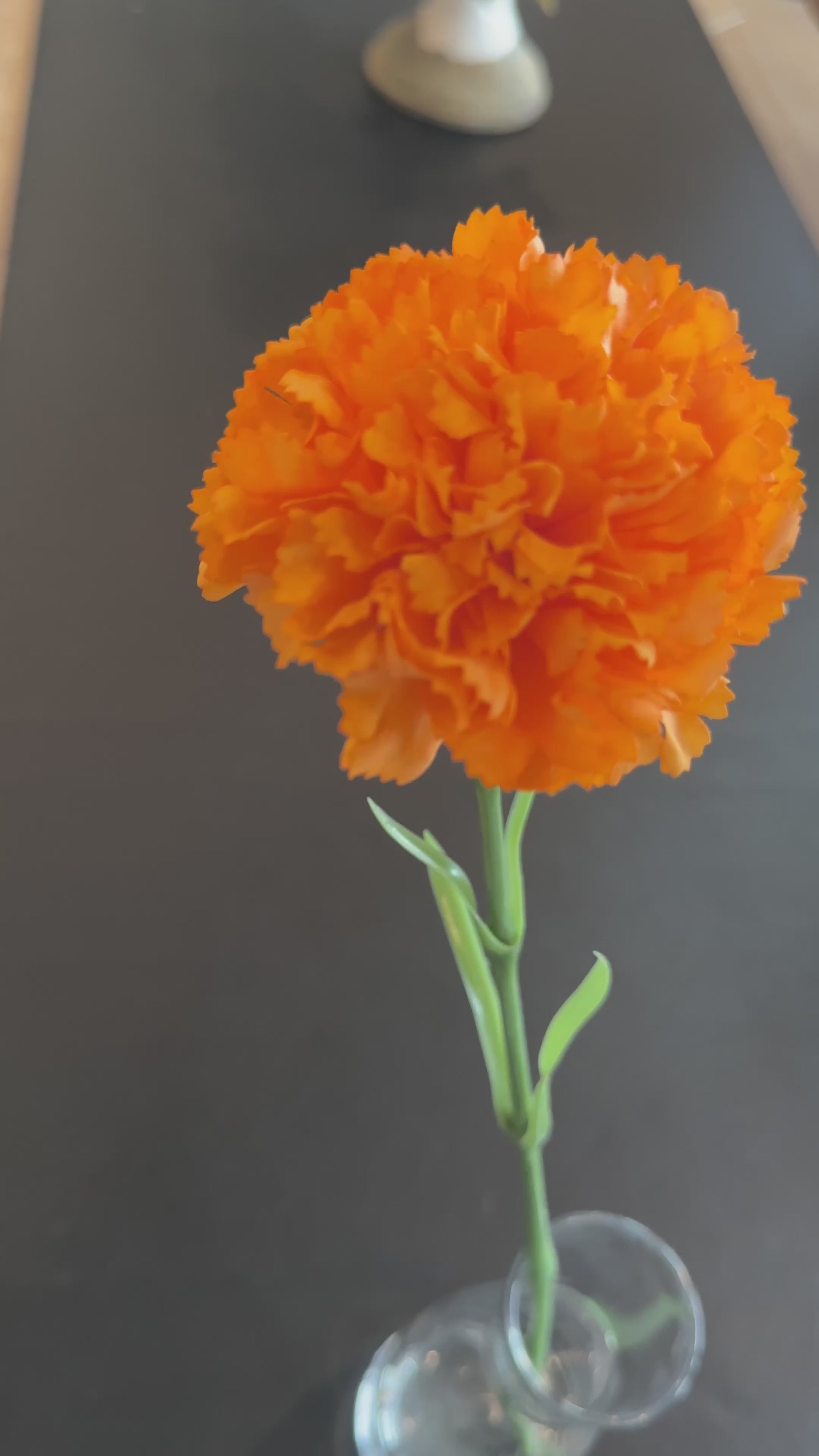 Orange carnation